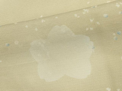 平和屋着物＊夏物　小紋　絽　舞花文　正絹　逸品　CABI6467ou