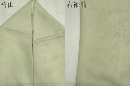 平和屋着物＊夏物　訪問着　絽　枝花文　金彩　ロング丈　正絹　逸品　CABI6475ou