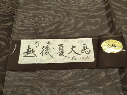 平和屋着物＊夏物　紬　越後　夏大島　紗　流水文　銀糸　証紙付き　正絹　逸品　CABI6487ou