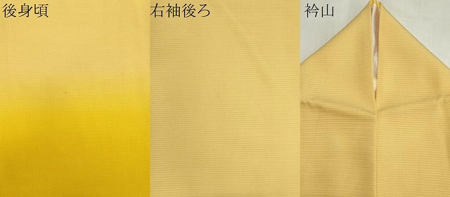 平和屋着物＊夏物　色留袖　絽　霞文　暈し染め　正絹　逸品　CABI6488ou