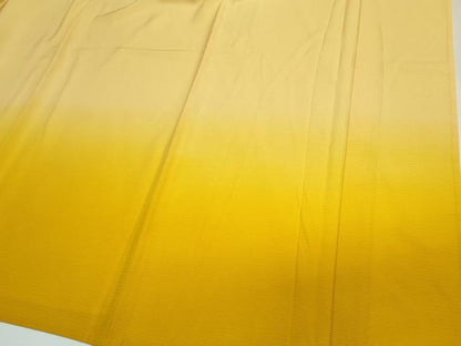 平和屋着物＊夏物　色留袖　絽　霞文　暈し染め　正絹　逸品　CABI6488ou