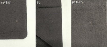 平和屋着物＊夏物 色無地 草花紋紗 黒色 正絹 逸品 CABI6492ou