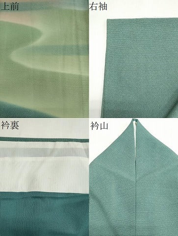 平和屋着物＊夏物　訪問着　絽　霞文　暈し染め　正絹　逸品　CABI6498ou