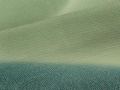 平和屋着物＊夏物　訪問着　絽　霞文　暈し染め　正絹　逸品　CABI6498ou