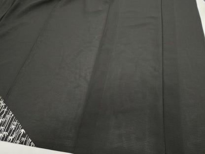 平和屋着物＊夏物　訪問着　絽　笹竹花丸文　黒地　金銀彩　正絹　逸品　未使用　CABI6510ou