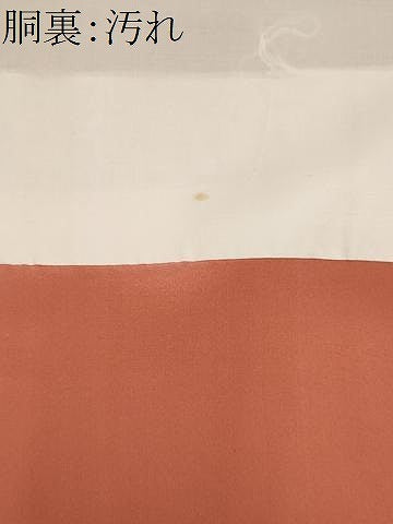 平和屋着物■訪問着　草花文　阪急百貨店扱い　正絹　逸品　CABI6534ou