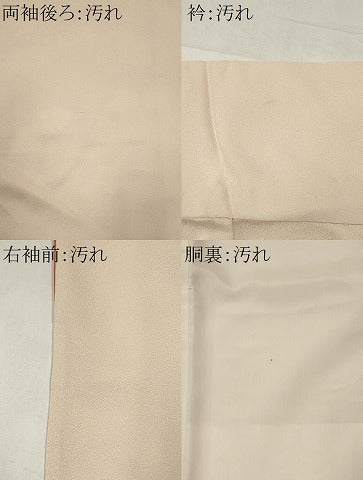平和屋着物■訪問着　雲取り流水花文　金彩　正絹　逸品　CABI6584ou