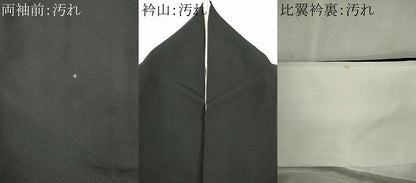 平和屋着物■豪華黒留袖　駒刺繍　風景文　金彩　正絹　逸品　CABI6655ou