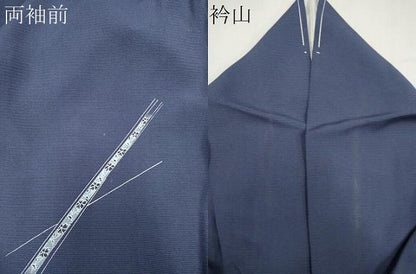 平和屋着物＊夏物　訪問着　絽　草花文　暈し染め　金銀彩　正絹　逸品　CABI6690ou