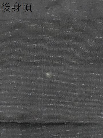 平和屋着物＊夏物　男性　紬　紗紬　霞文　正絹　逸品　CABI6697ou