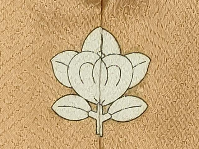 平和屋着物■豪華色留袖　駒刺繍　束ね熨斗地紙草花文　金銀彩　正絹　逸品　CABI6707ou