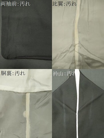 平和屋着物■豪華黒留袖　作家物　雪輪枝花文　暈し染め　金銀彩　正絹　逸品　CABI6717ou