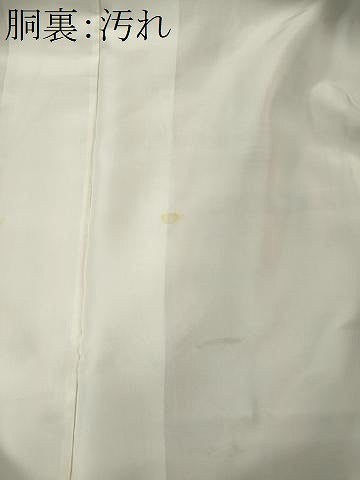 平和屋着物■上質な紬　舞花文　ロング丈　正絹　逸品　CABI6724ou