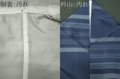 平和屋着物■本場縞大島紬　横段文　正絹　逸品　CABI6746ou