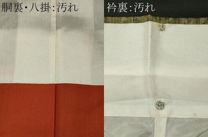 平和屋着物■本場大島紬　7マルキ　草木文　正絹　逸品　CABI6755ou