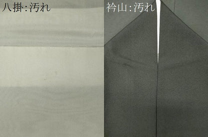 平和屋着物■豪華黒留袖　作家物　大名行列　暈し染め　金彩　正絹　逸品　CABI6759ou