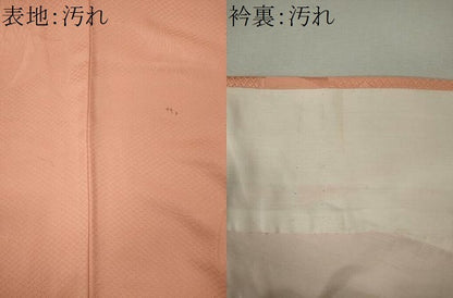 平和屋着物■上質な色無地　雲取り舞蝶地紋　宍色　正絹　逸品　CABI6781ou