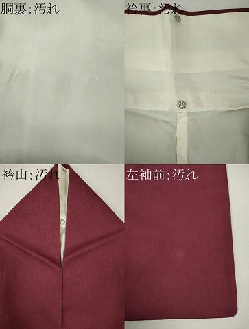 平和屋着物■訪問着　駒刺繍　葉尽くし　金彩　正絹　逸品　CABI6792ou
