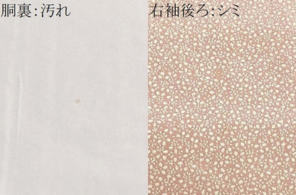 平和屋着物■上質な小紋　刺繍　草花文　正絹　逸品　CABI6914xe