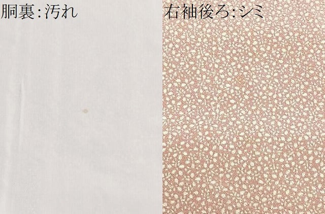 平和屋着物■上質な小紋　刺繍　草花文　正絹　逸品　CABI6914xe