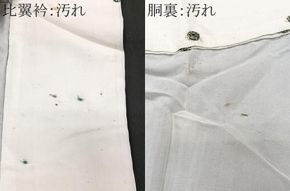平和屋着物■長襦袢　無双仕立て　遠山地紋　正絹　逸品　CABI6959xe