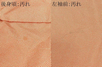 平和屋着物■江戸小紋　鮫小紋柄　正絹　逸品　CABI6967xe