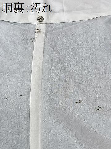 平和屋着物■本場大島紬　葉尽くし　正絹　逸品　CABI6980xe