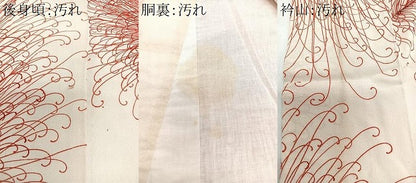 平和屋着物■上質な小紋　乱菊　正絹　逸品　CABI7042xe