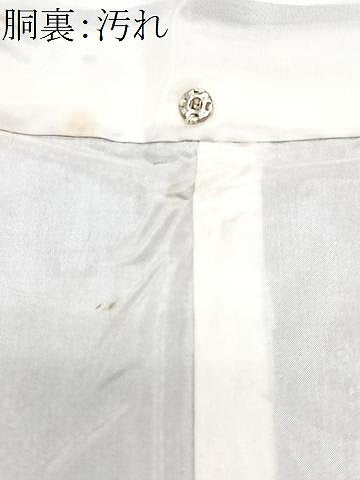 平和屋着物■上質な紬　麻の葉文様　正絹　逸品　CABI7109xe