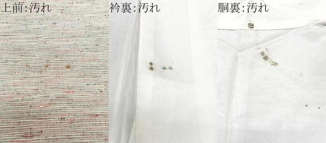 平和屋着物■上質な紬　霞文　正絹　逸品　CABI7140xe