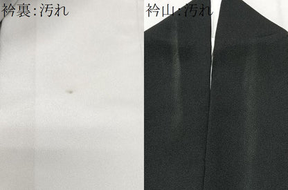 平和屋着物■豪華黒留袖　孔雀文　暈し染め　正絹　逸品　CABI7159xe