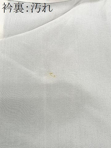 平和屋着物■本場大島紬　亀甲花文　正絹　逸品　CABI7189xe
