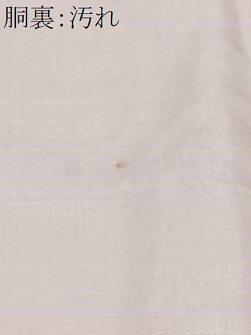 平和屋着物■上質な小紋　青海波地紋　暈し染め　正絹　逸品　CABI7198xe