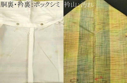 平和屋着物■上質な紬　絵絣間道　正絹　逸品　CABI7794ev