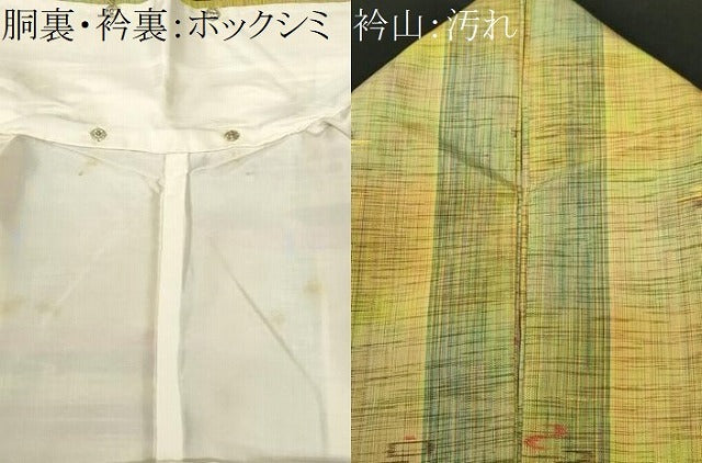 平和屋着物■上質な紬　絵絣間道　正絹　逸品　CABI7794ev