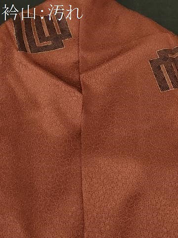 平和屋着物■上質な小紋　源氏香花文　金彩　正絹　逸品　CABI7941ev