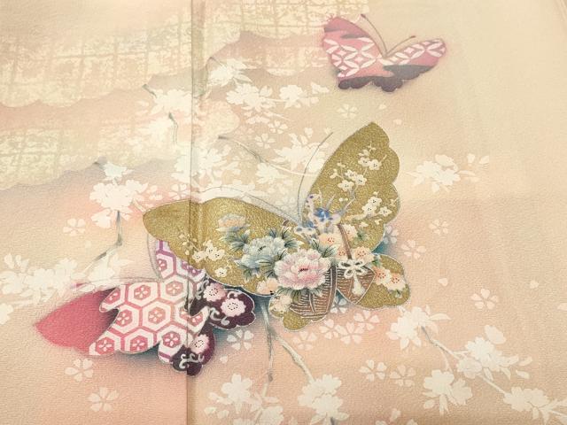 平和屋着物■訪問着　花蝶流水鴛鴦文　暈し染め　金銀彩　正絹　逸品　CABI8008ev
