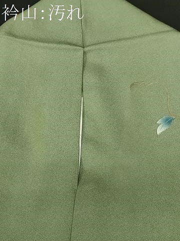 平和屋着物■訪問着　枝花文　暈し染め　金彩　さが美扱い　正絹　逸品　CABI8024ev