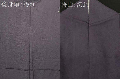 平和屋着物■訪問着　檜扇枝垂れ花文　十二単　暈し染め　金彩　正絹　逸品　CABI8025ev
