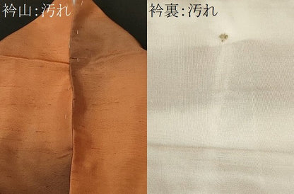 平和屋着物■上質な紬　霞文　正絹　逸品　CABI8083ev
