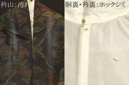 平和屋着物■本場大島紬　枝花文　舞葉文　正絹　逸品　CABI8124ev