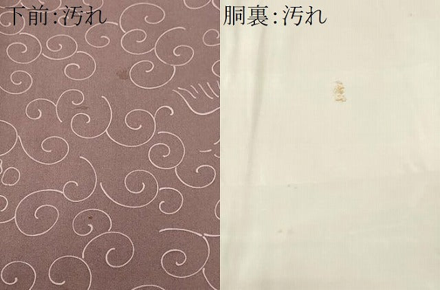 平和屋着物■上質な小紋　花唐草飛鳥文　正絹　逸品　CABI8148ev
