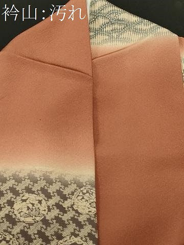 平和屋着物■上質な小紋　横段吉祥文　暈し染め　正絹　逸品　CABI8161ev