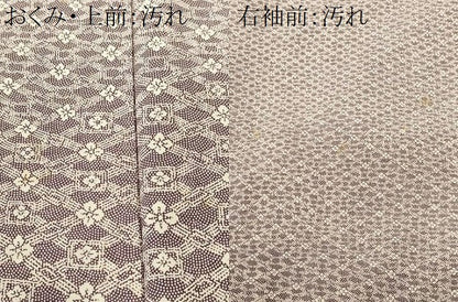 平和屋着物■豪華色留袖　江戸小紋　花菱文　鮫小紋柄　正絹　逸品　CABI8177ev