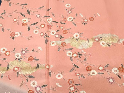 平和屋着物■訪問着　雲取り枝花文　暈し染め　金銀彩　正絹　逸品　CABI8191ev