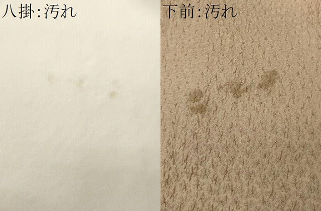 平和屋着物■上質な小紋　ふくれ織　霞文　暈し染め　正絹　逸品　CABI8209ev