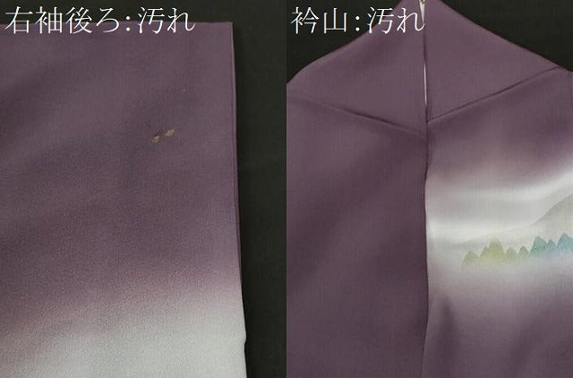 平和屋着物■訪問着　作家物　風景文　暈し染め　金彩　正絹　逸品　CABI8312ev