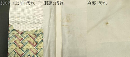 平和屋着物■訪問着　紬地　100亀甲　檜垣枝花文　正絹　逸品　CABI8328ev