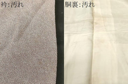 平和屋着物■江戸小紋　鮫小紋柄　正絹　逸品　CABI8331ev