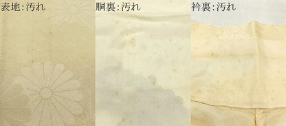 平和屋着物■上質な小紋　地紋起こし　花尽くし　胴抜き仕立て　正絹　逸品　CABI9230ua